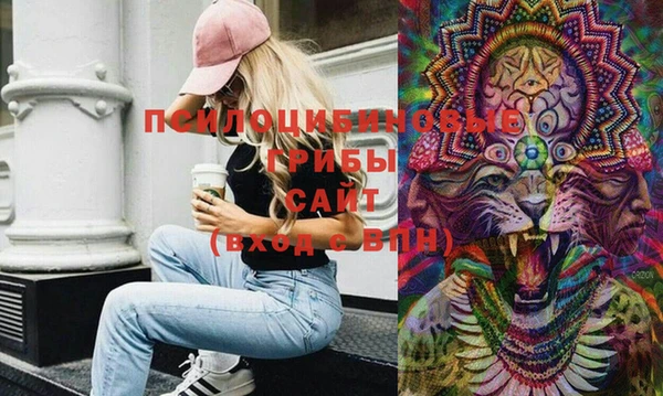 прущие грибы Лагань